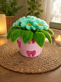🌼Pot floral Pâquerettes pastel🌼
